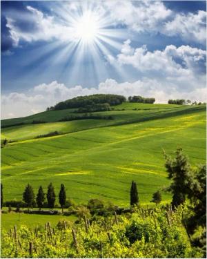 Wallario Poster, Strahlender Sonnenschein, in verschiedenen