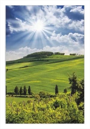 Wallario Poster, Strahlender Sonnenschein, in verschiedenen
