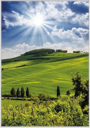 Wallario Poster, Strahlender Sonnenschein, in verschiedenen
