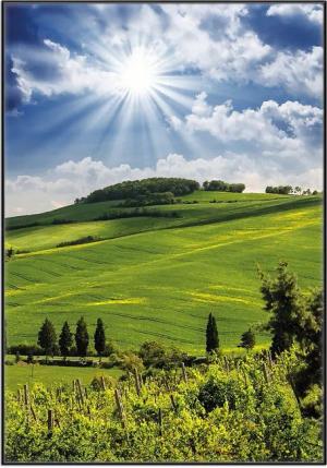 Wallario Poster, Strahlender Sonnenschein, in verschiedenen
