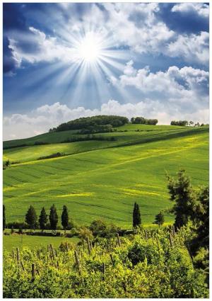 Wallario Poster, Strahlender Sonnenschein, in verschiedenen