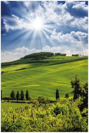 Wallario Poster, Strahlender Sonnenschein, in verschiedenen