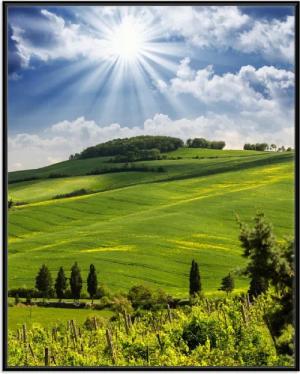 Wallario Poster, Strahlender Sonnenschein, in verschiedenen