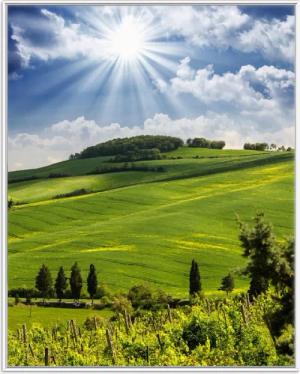 Wallario Poster, Strahlender Sonnenschein, in verschiedenen
