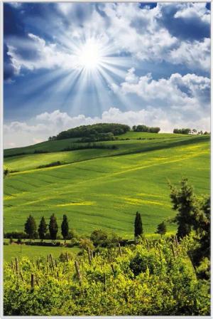 Wallario Poster, Strahlender Sonnenschein, in verschiedenen