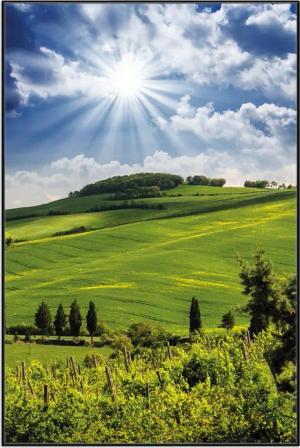 Wallario Poster, Strahlender Sonnenschein, in verschiedenen
