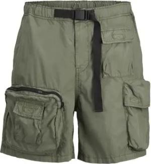 Jack & Jones  Shorts 12255608 BILL-LAUREL WREATH