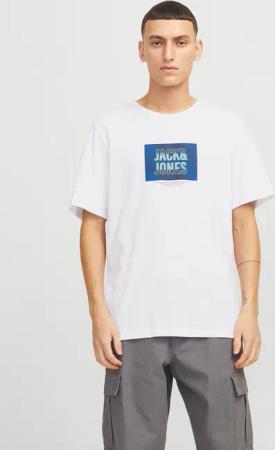 Jack & Jones Print-Shirt "JJHUDSON – Print-Shirt mit Rundhals und Loose Fit", bedruckt, modisch, loose fit, Jersey