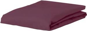 Esprit Spannbettlaken SHEET, Jersey-Elasthan, Gummizug: rundum,
