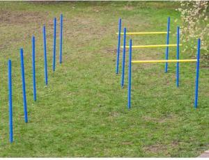 Procyon Agility-Slalom Dog Agility Trainings-Set 2