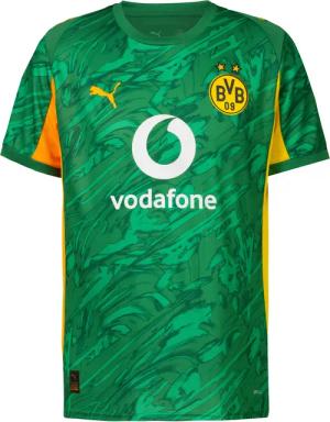 PUMA Borussia Dortmund 25-26 Torwart Teamtrikot Herren
