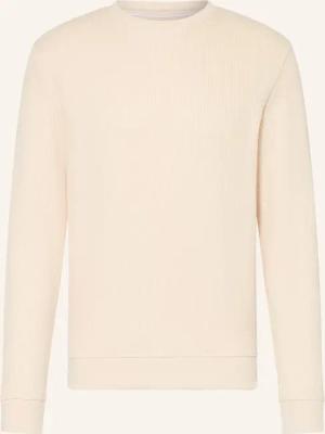 PAUL Pullover