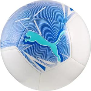 Puma Big Cat