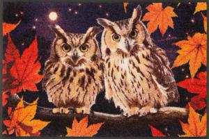 wash+dry by Kleen-Tex Fußmatte Night Owls,