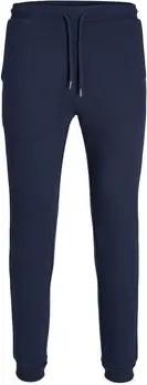Jack & Jones  Hosen 12211027 WILL-NAVY