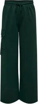 Only Hosen 15326724 CORINNE-SCARAB