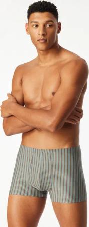 Shorts 3er-Pack Organic Cotton uni/gestreift mehrfarbig - 95/5 4
