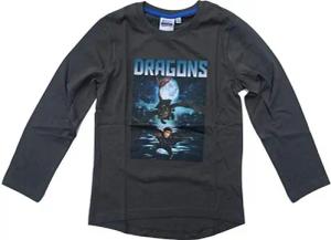 DreamWorks Langarmshirt Dragons Langarmshirt