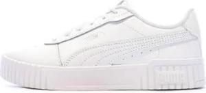 Puma Sneaker 385849-02