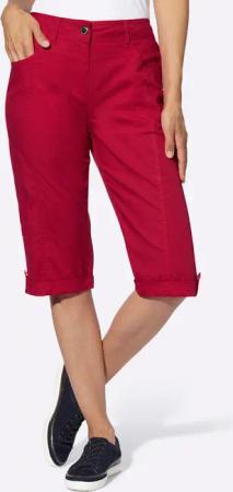 Witt Shorts Bermudas