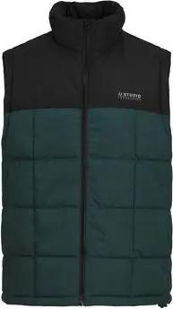Jack & Jones Daunenjacken 12256903 BEN SQUARE-MAGICAL FOREST