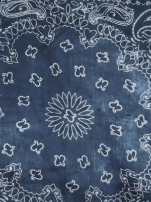 Golden Goose Tücher & Schals - Paisley Pattern Silk Foulard - Gr. unisize - in Blau - für Damen