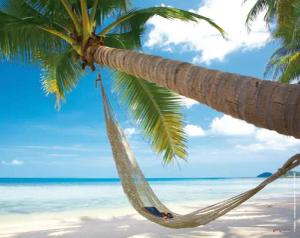 Mauspad Palms - Mousepad - Mousepad