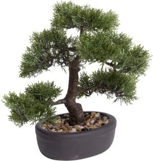 Kunstbonsai Ceder Bonsai Ceder, Botanic-Haus, Höhe