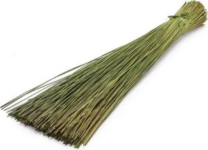 Trockenblume Vleireed apfelgrün 75cm 1kg Restio