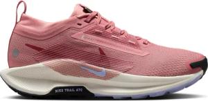 Trailrunning-Schuhe für Damen Nike Pegasus Trail 5 Gore-Tex