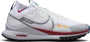 Trail-Schuhe Nike Pegasus Trail 4 Gore-Tex