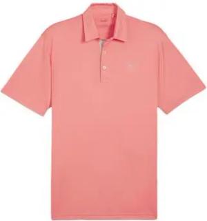 Puma  Poloshirt 625107-10