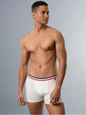 Trigema Boxer "TRIGEMA Pants mit praktischem Gummibund", (1 St.)