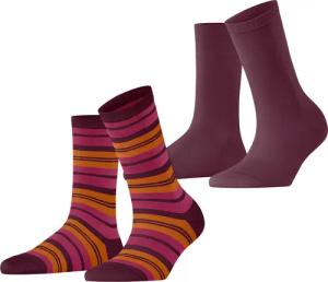 Esprit Socken College Stripe 2-Pack (2-Paar)