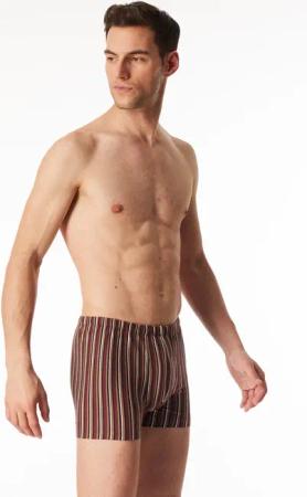 Shorts burgund gestreift - 95/5 9