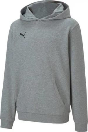 PUMA Hoodie teamGOAL 23 Casuals Hoody Jr