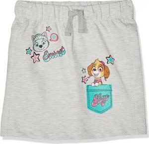PAW PATROL Sommerrock Paw Patrol Rock