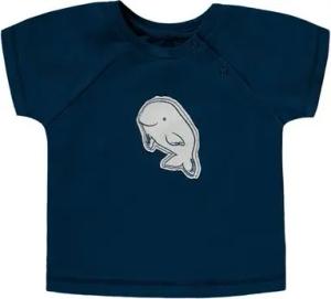 Bellybutton T-Shirt T-Shirt (1-tlg) Baby T-Shirt mit Beluga-Wal Motiv – Marineblau