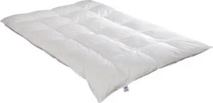 Irisette Sale Daunenbettdecke Daunendecke Nora, Füllung: 100% Daunen, Bezug: weich und anschmiegsam, extra warme Winterdecke, Downpass und Nomite, Naturprodukt