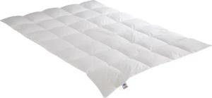 Irisette Sale Daunenbettdecke Daunendecke Nora, Füllung: 100% Daunen, Bezug: weich und anschmiegsam, Übergangsdecke, Downpass und Nomite, Naturprodukt