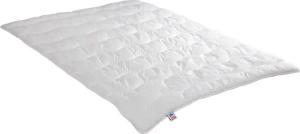 Irisette Sale Microfaserbettdecke Jette, Füllung: Markenhohlfaser irisette® Fill - 100% Polyester, Bezug: angenehm weich, Deutsches Markenprodukt, erhältlich in 4 Wärmeklassen