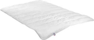 Irisette Sale Microfaserbettdecke Jette, Füllung: Markenhohlfaser irisette® Fill - 100% Polyester, Bezug: angenehm weich, Deutsches Markenprodukt, erhältlich in 4 Wärmeklassen