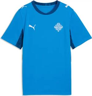 Island 2026 Heimtrikot Jugendliche PUMA