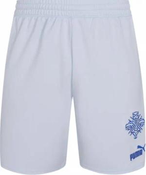 Island PUMA Herren Auswärts Shorts 766069-02