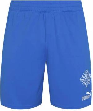 Island PUMA Herren Heim Shorts 766069-01