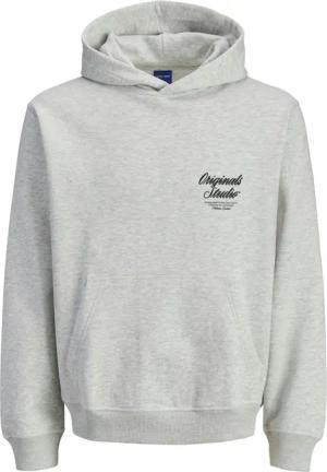 Jack & Jones Herren Hoodie Kapuzenpullover JORNORREBRO TYPO BACK SWEAT HOOD - Relaxed Fit