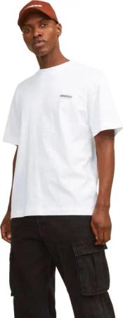 Jack & Jones Herren Rundhals T-Shirt JORMYKONOS GEO BACK - Relaxed Fit