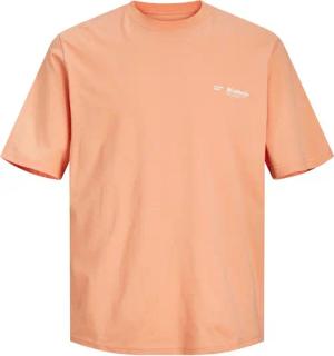 Jack & Jones Herren Rundhals T-Shirt JORSEQUOIA BACK - Relaxed Fit