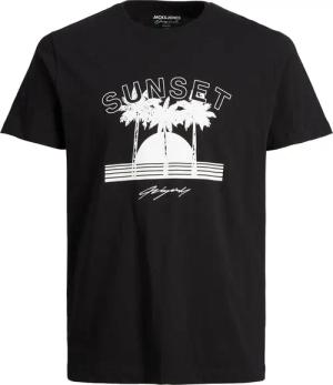Jack & Jones Herren Rundhals T-Shirt JORTULUM UV- Regular Fit
