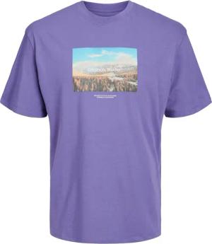 Jack & Jones Herren Rundhals T-Shirt JORVESTERBRO PHOTO - Regular Fit